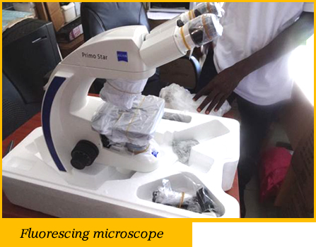 flourscemicroscope